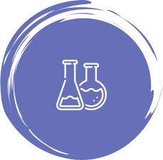 Curriculum Icon